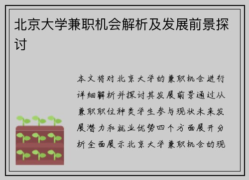 北京大学兼职机会解析及发展前景探讨