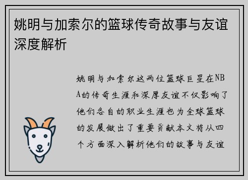 姚明与加索尔的篮球传奇故事与友谊深度解析